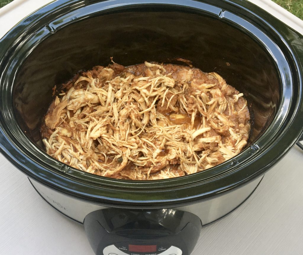 Salsa Chicken